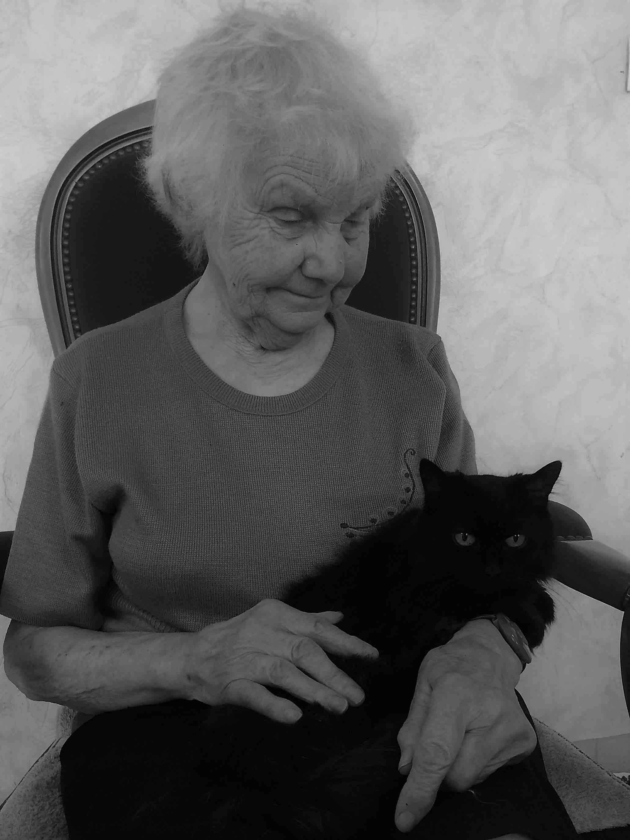 Mediation par le chat le mans
