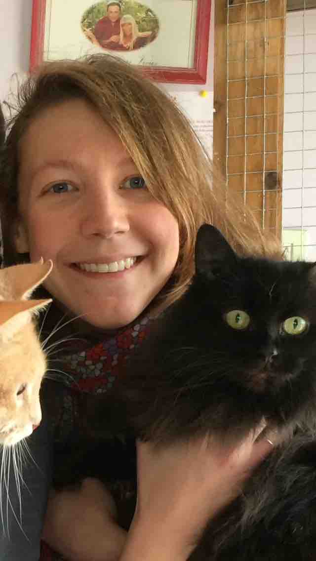 comportemenatliste chat sarthe