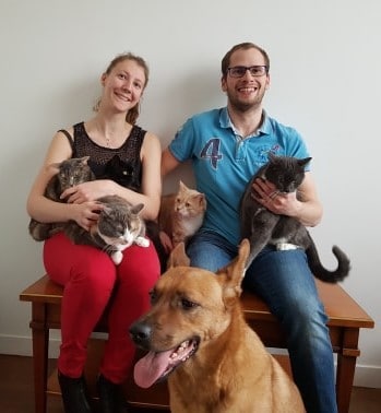 specialiste comportement du chat sarthe