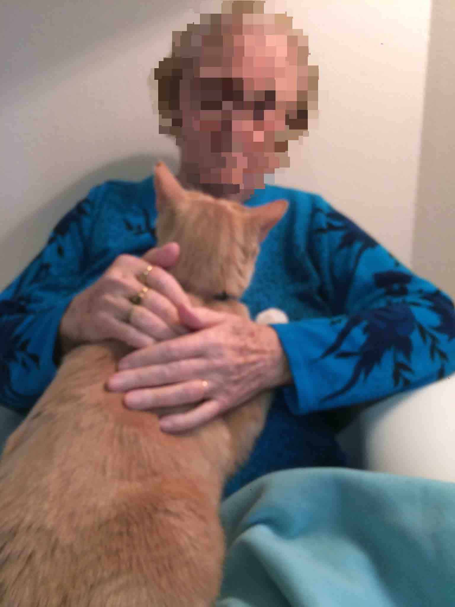 therapie alzheimer demences sarthe