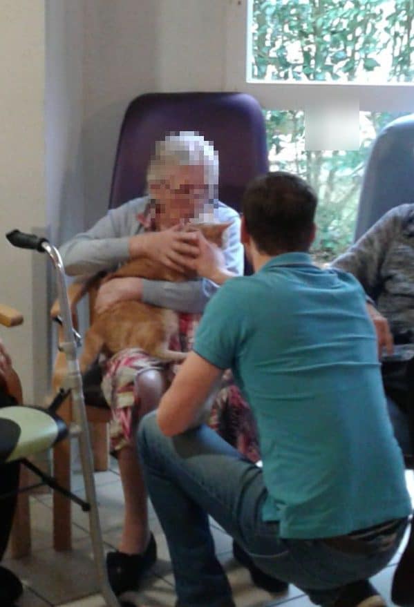 therapie chat personnes agees probleme moteur sarthe