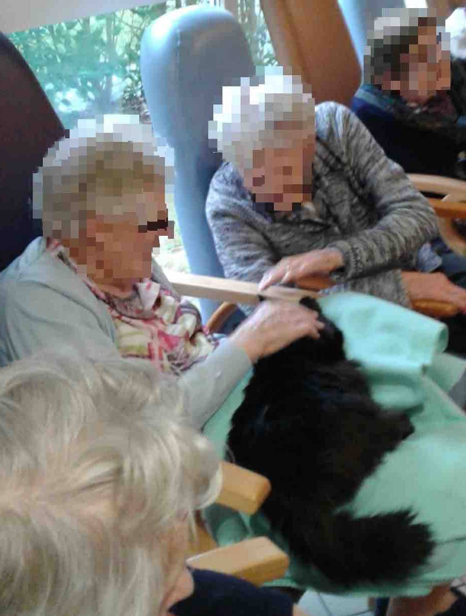 zootherapie sarthe