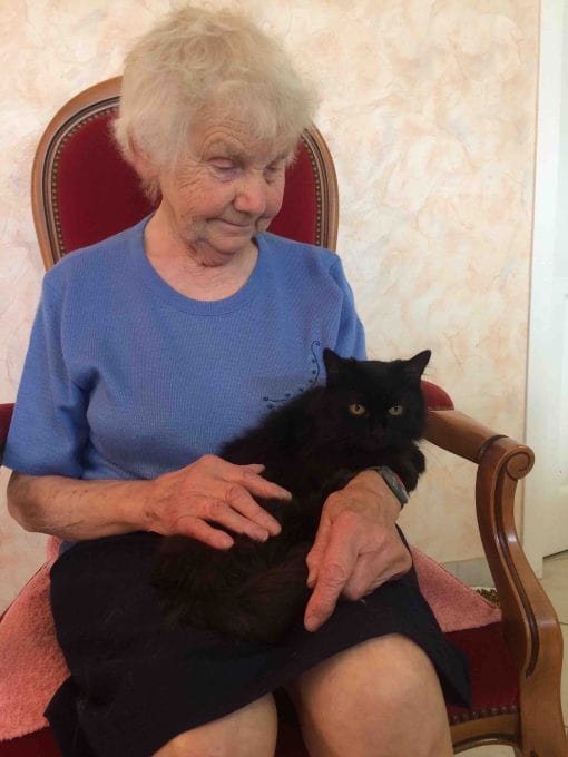 therapie-chat-le-mans-e1664788418907-min (1) therapie chat le mans