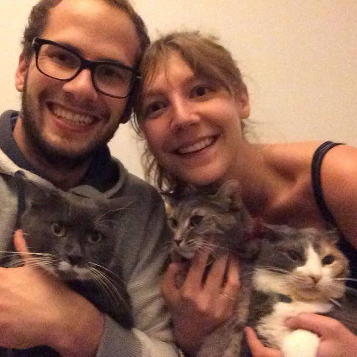 comportementaliste chat roi sarthe