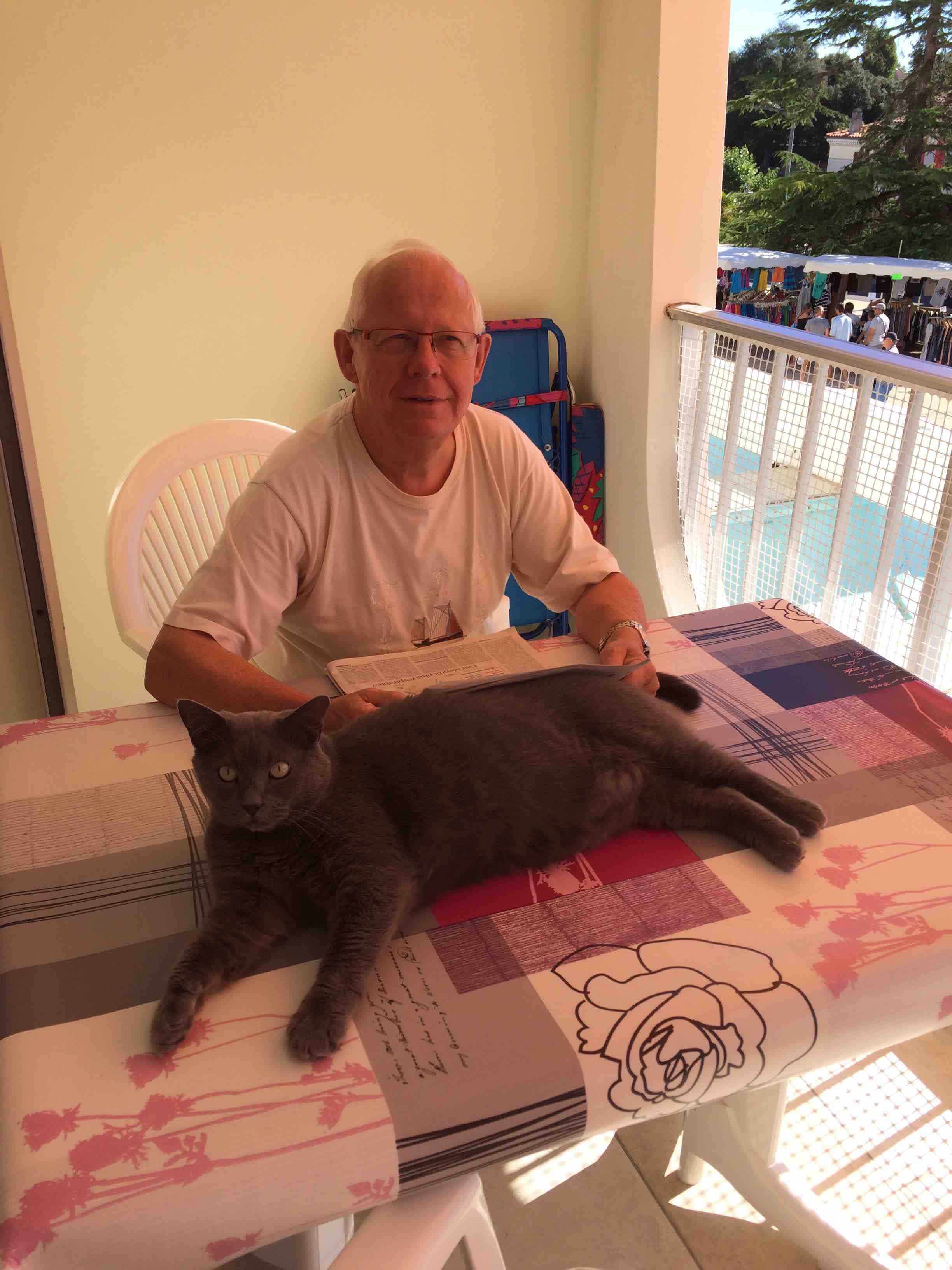 specialiste comportement du chat roi sarthe