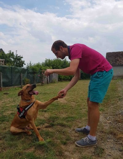 pension chien le mans
