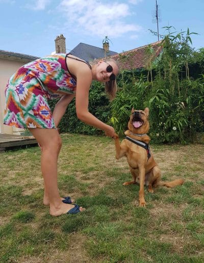pension chien sarthe